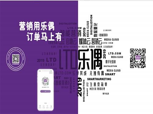 上海传统网站建设公司代理乐偶营销saas当月收入超百万元